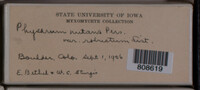 Image Associated With the Occurence